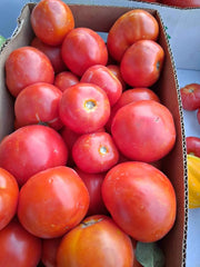 Celebrity Tomatoes by the Box (PRE-PAY)