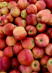Apples by the Box (PRE-PAY)