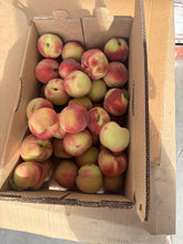 Lemon Elberta Peaches by the Box (PRE-PAY)