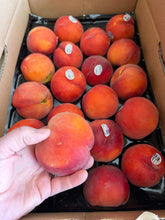 Diamond Princess Peaches by the Box (PRE-PAY)