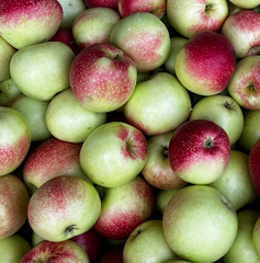 Snowsweet Apples by the Box (PRE-PAY)