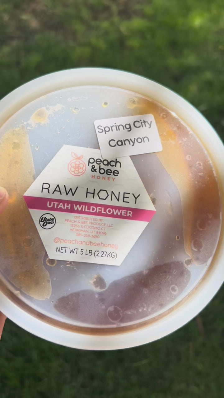 Spring City Canyon Honey- CASE- Fresh 2025 Harvest!