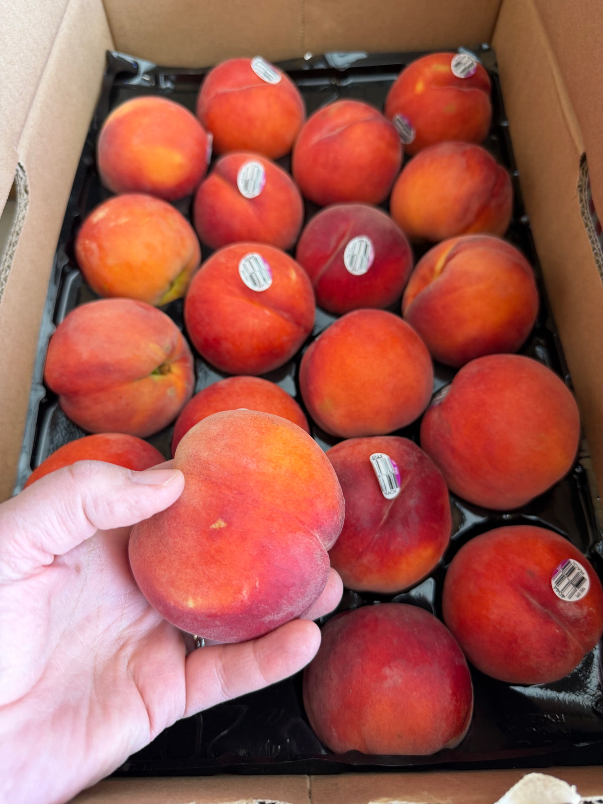 Diamond Princess Peaches by the Box (PRE-PAY)