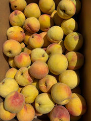 Lemon Elberta Peaches by the Box (PRE-PAY)