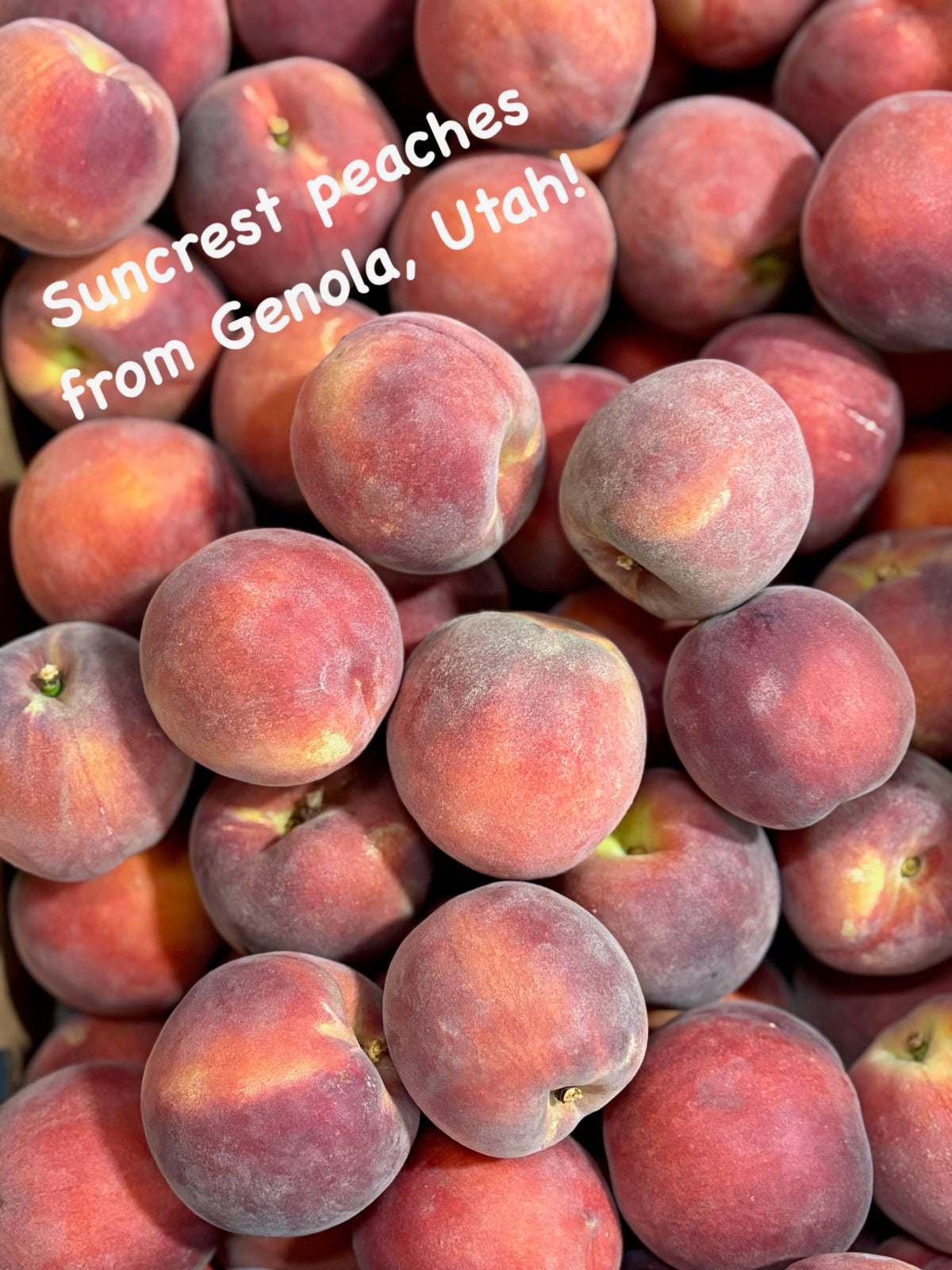 Suncrest Peaches by the Box (PRE-PAY)