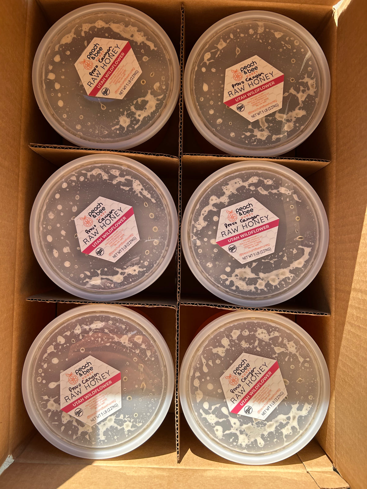Provo Canyon Honey- CASE- Fresh 2025 Harvest!