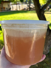 Provo Canyon Honey- CASE- Fresh 2025 Harvest!