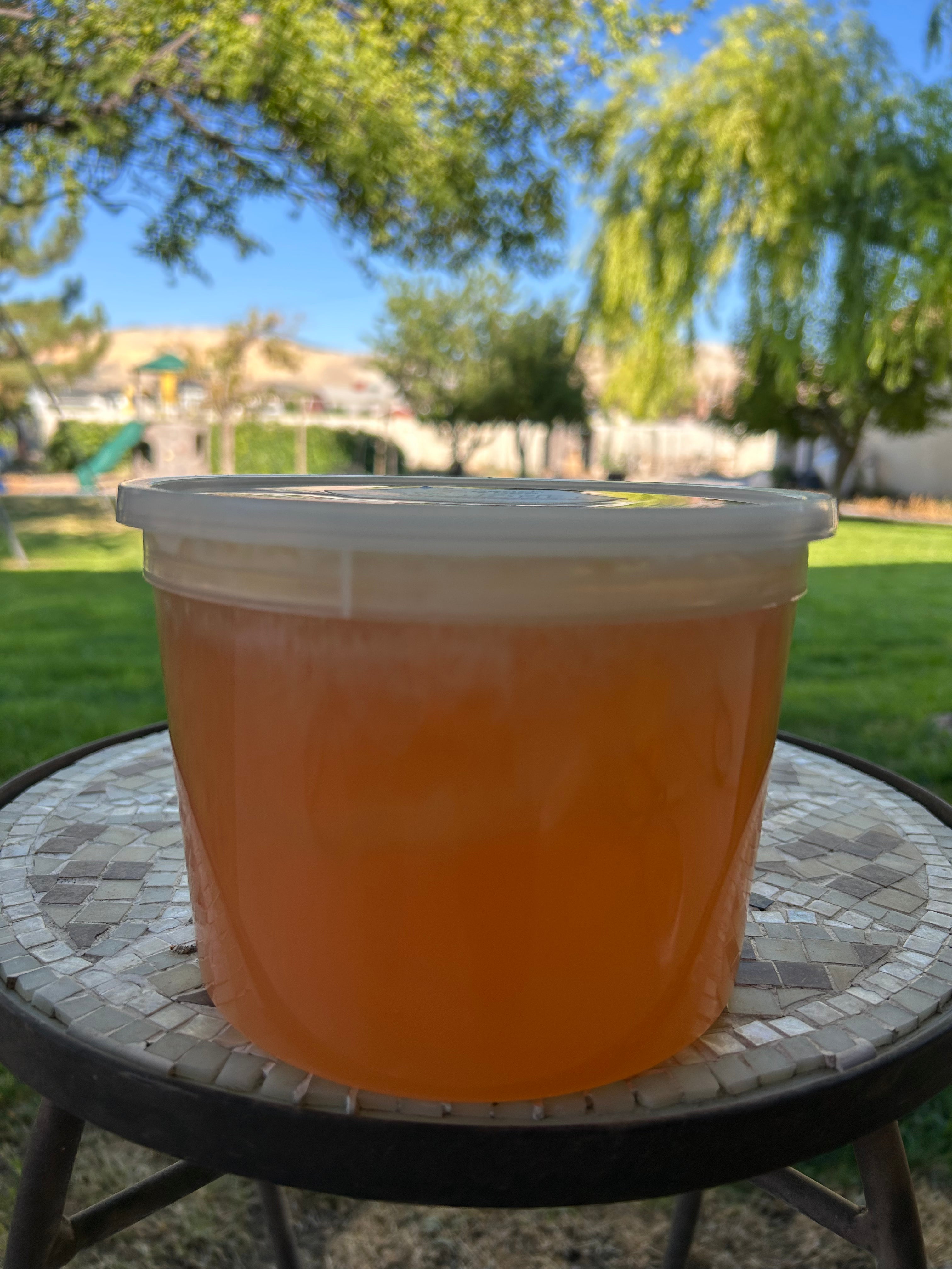 Provo Canyon Honey- CASE- Fresh 2025 Harvest!