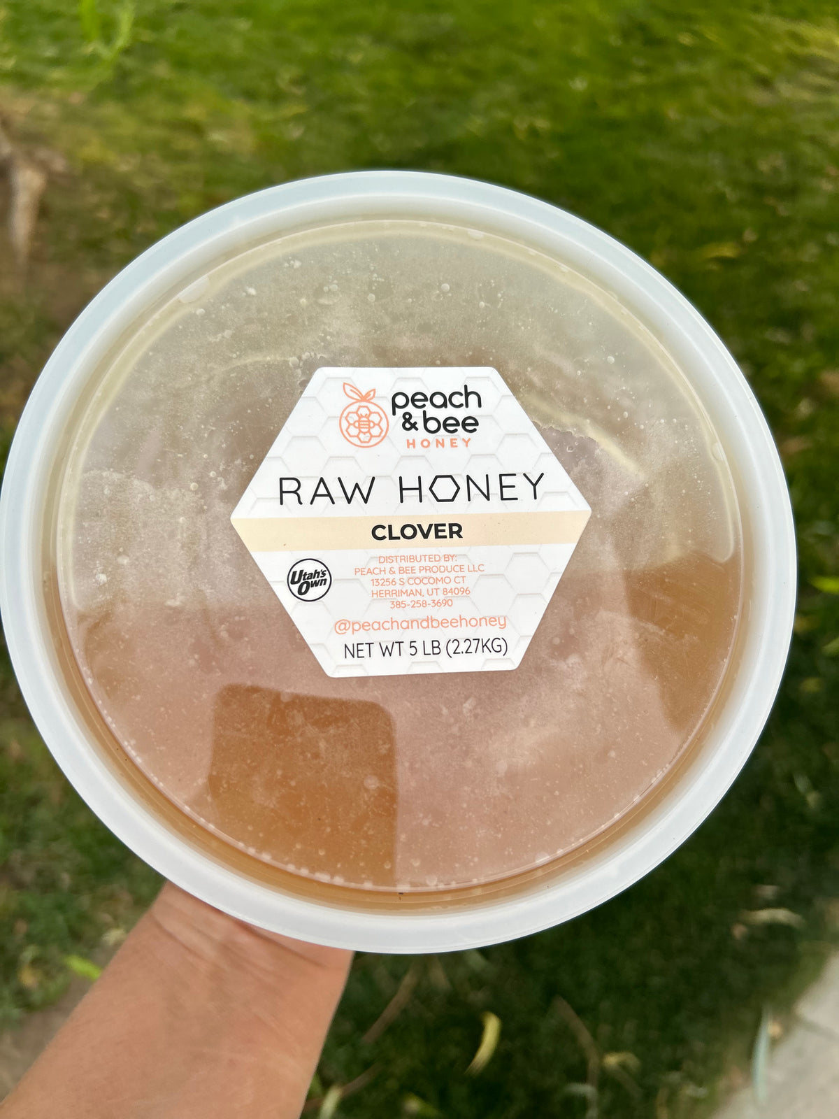 Clover Honey- 5 lb Tub
