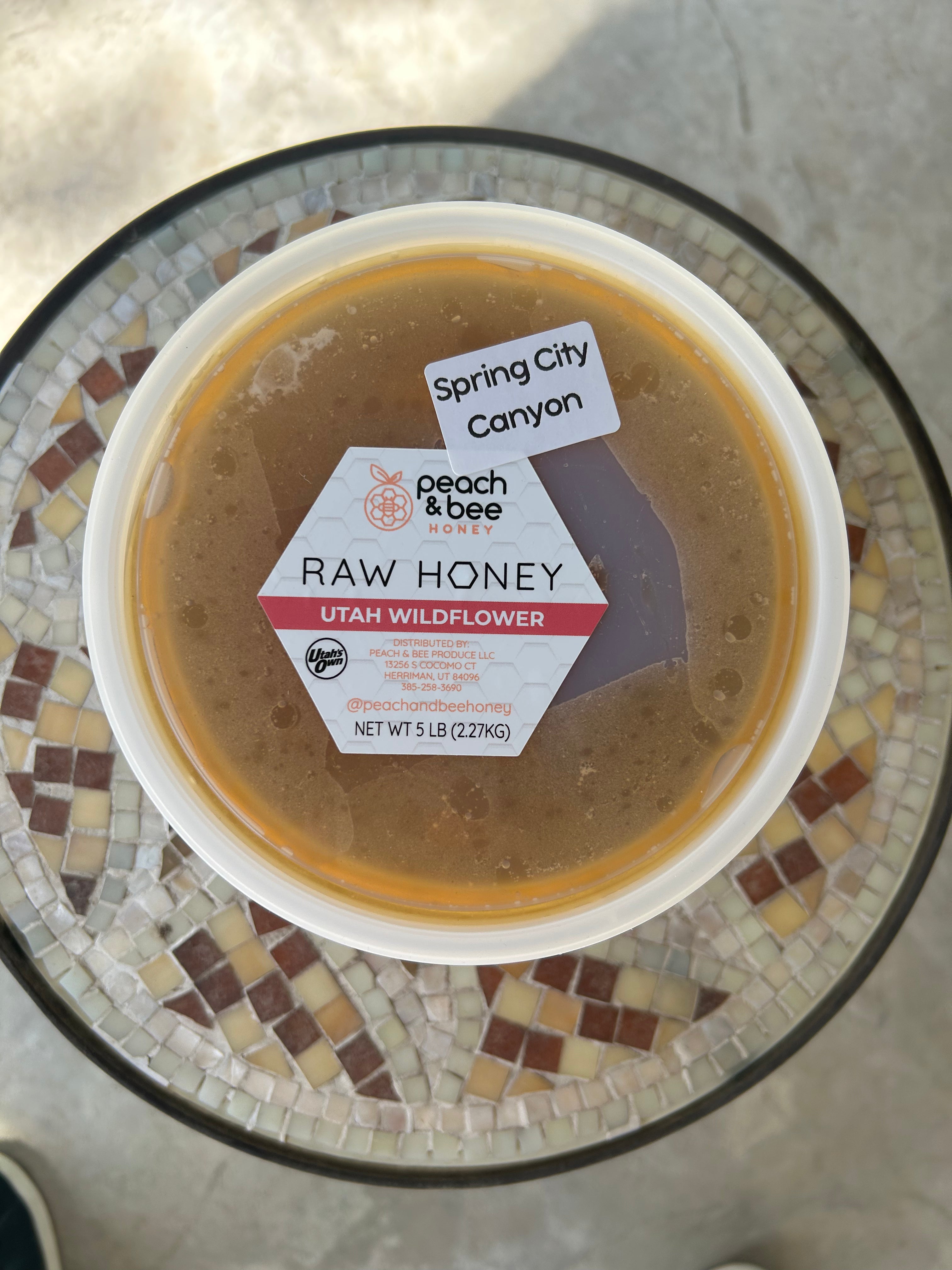 SALE- Spring City Canyon Honey- CASE- Fresh 2025 Harvest!