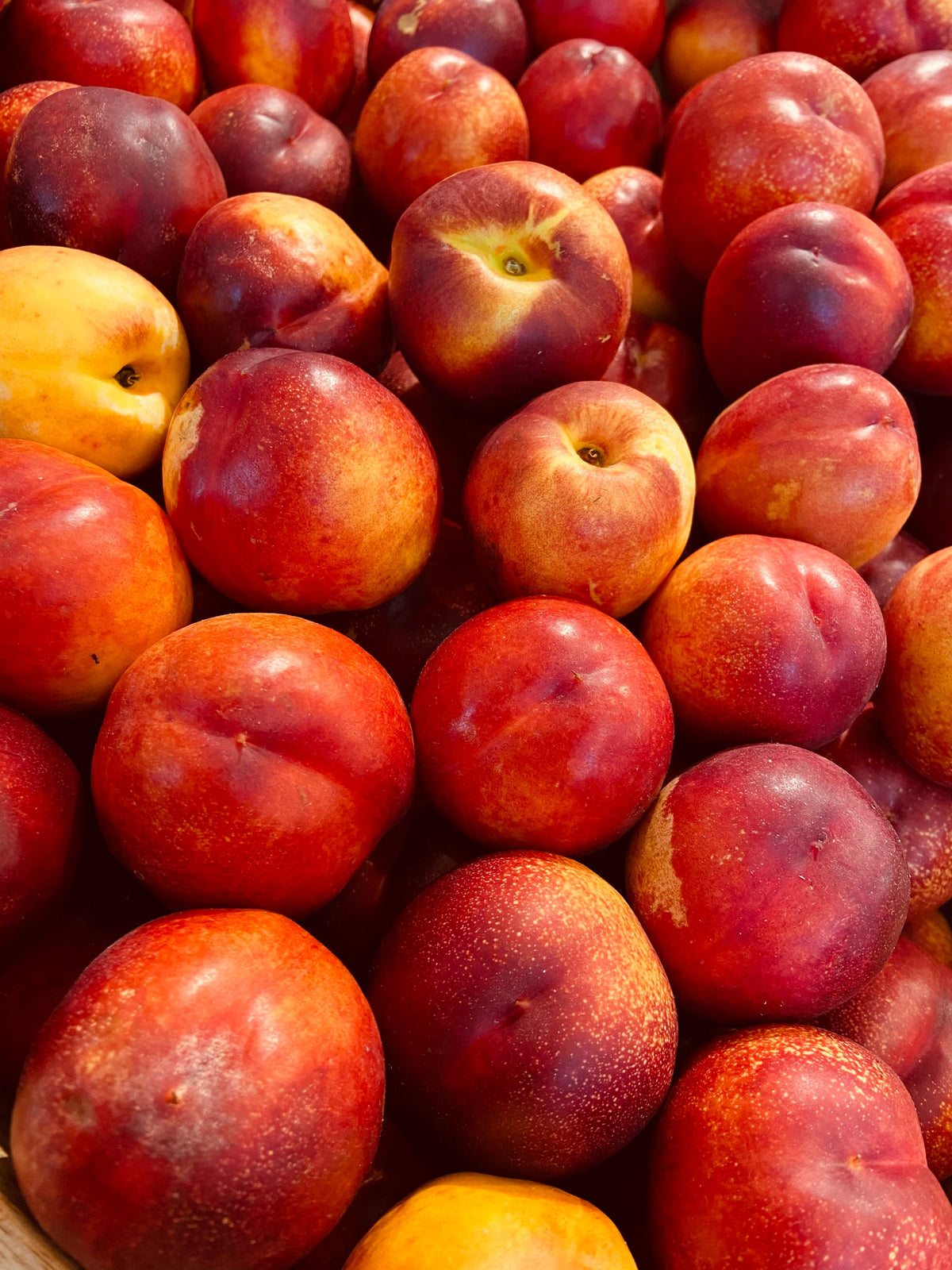 Nectarines by the Box (PRE-PAY)