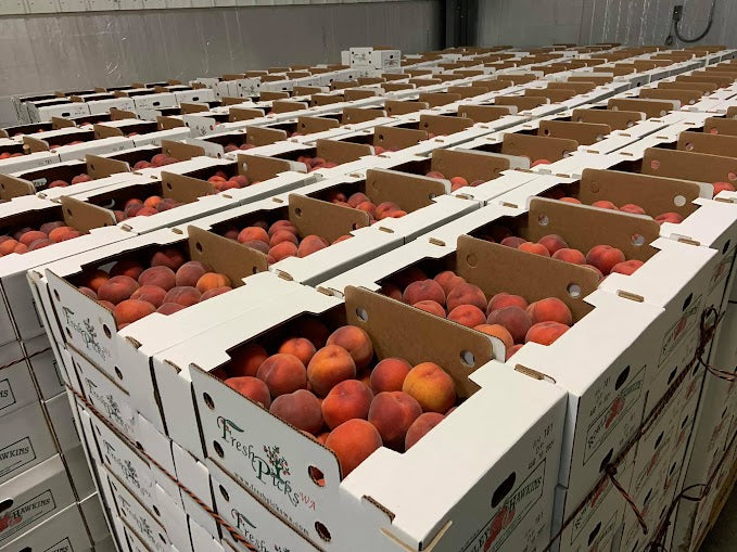 Freestone Peaches by the Box (PRE-PAY)