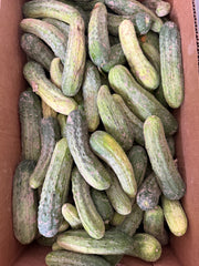 Pickling  Cucumbers by the Box (PRE-PAY)