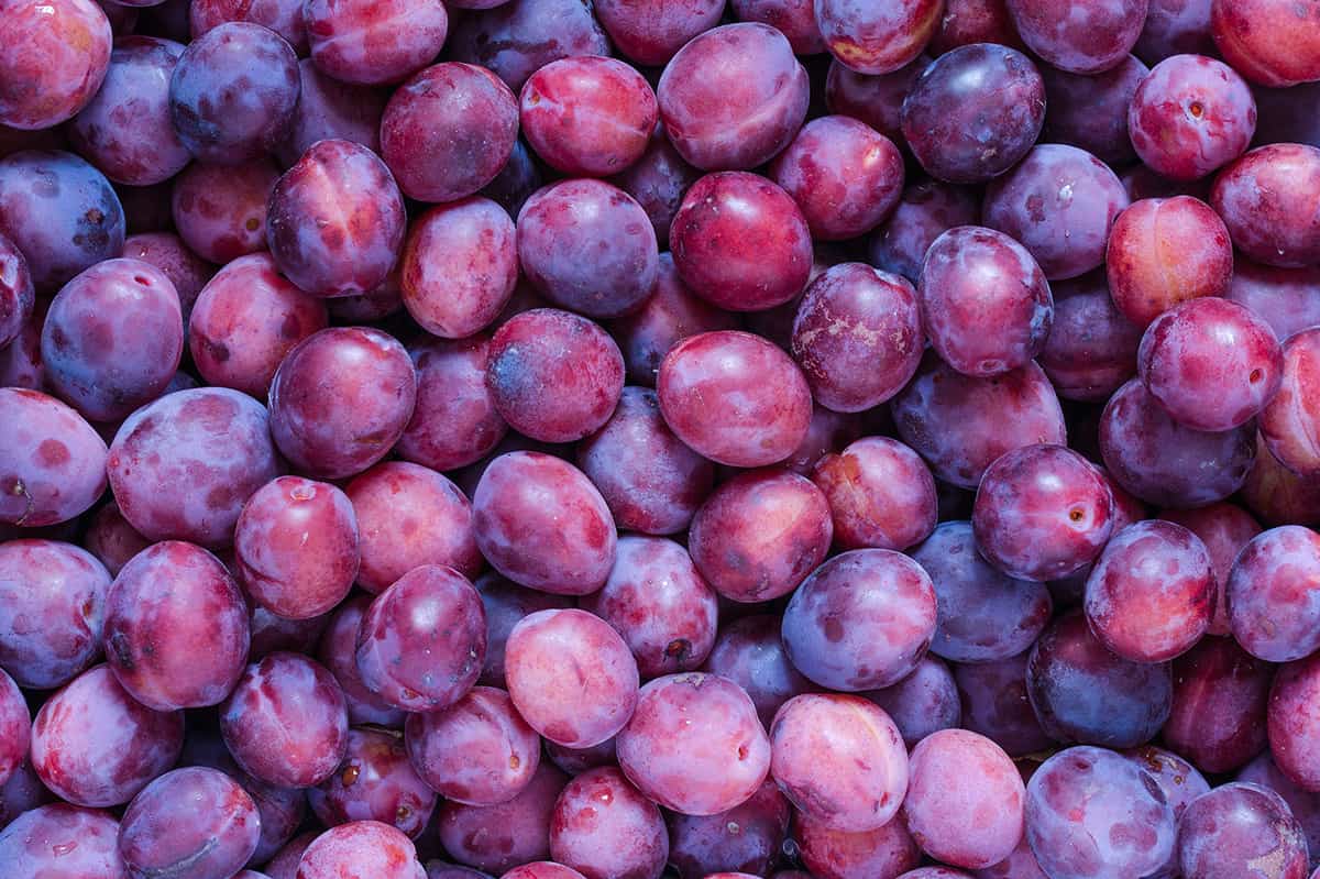 Mixed Plums by the Box (PRE-PAY)